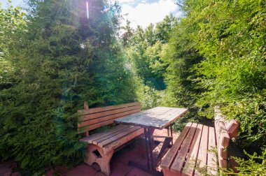 Özel bir evin bahçesindeki yeşil dinlenme alanı, ağaçlar ve çalılıklar.