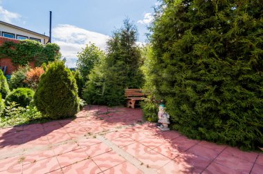 Özel bir evin bahçesindeki yeşil dinlenme alanı, ağaçlar ve çalılıklar.