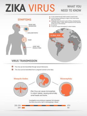 Zica virüs Infographic