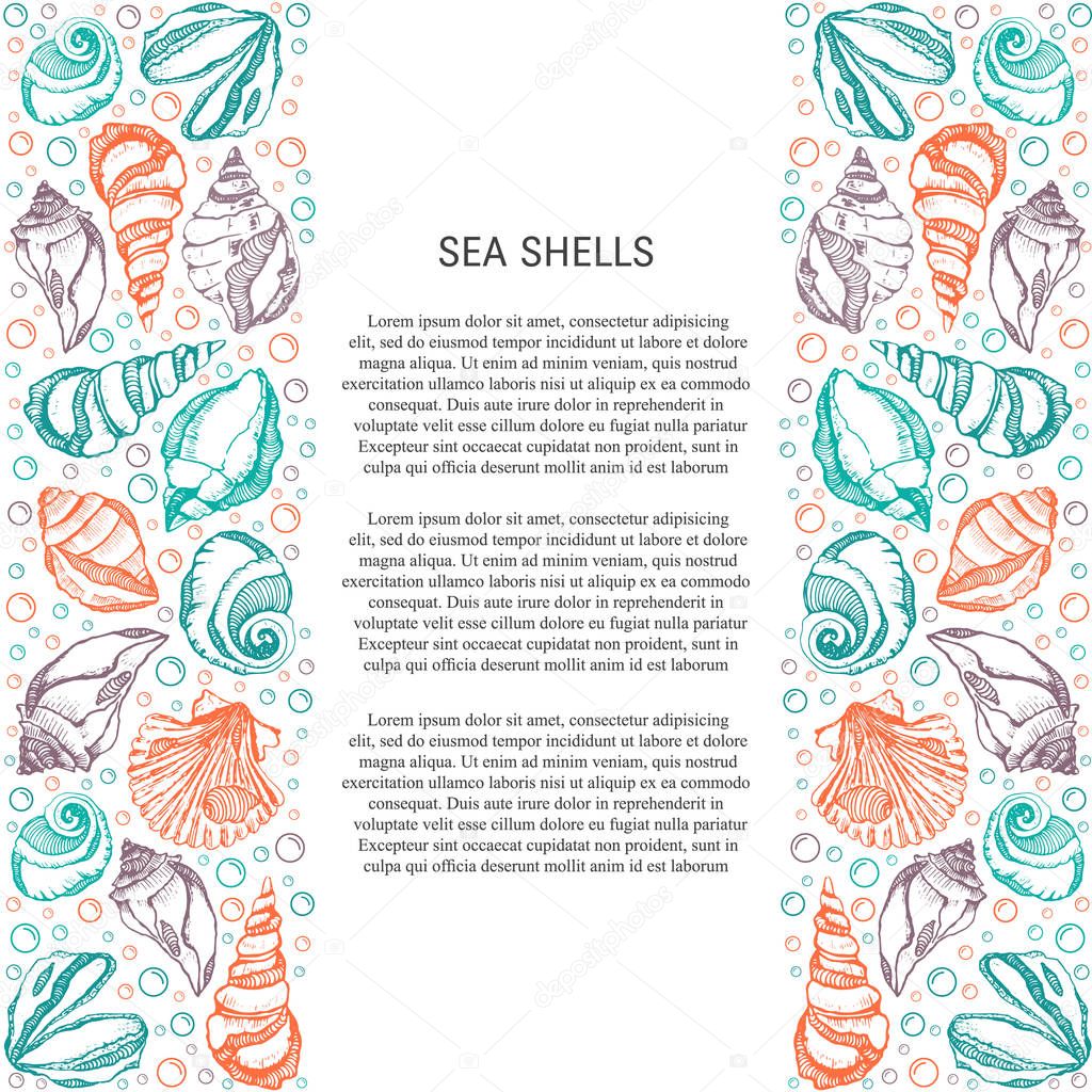 Sea shells background