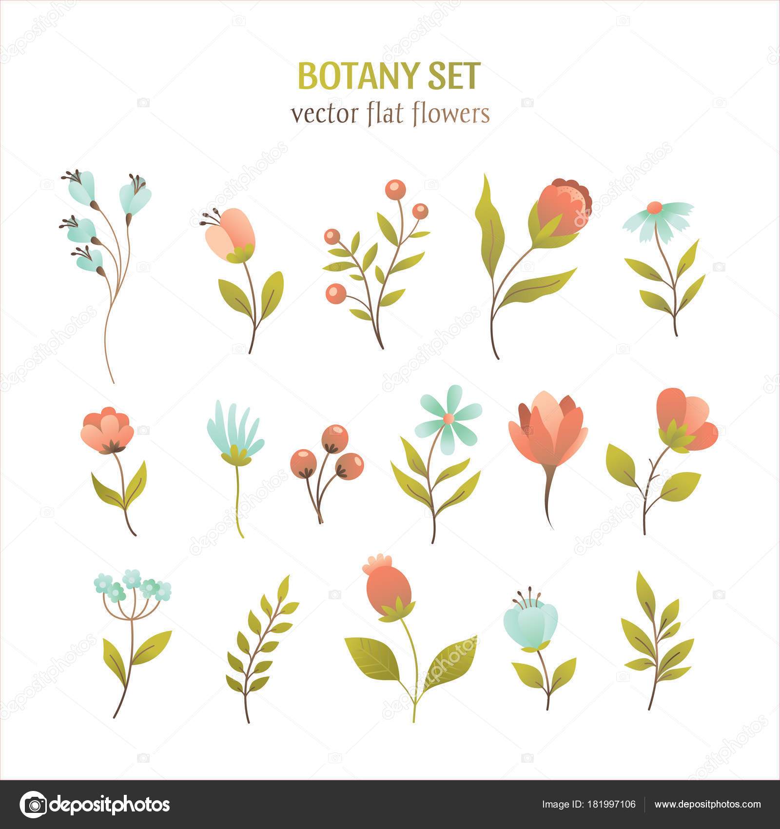 wallpapers Botanical Simple Flower Illustration https depositphotos com 181997106 stock illustration vector flower simple flat botany html