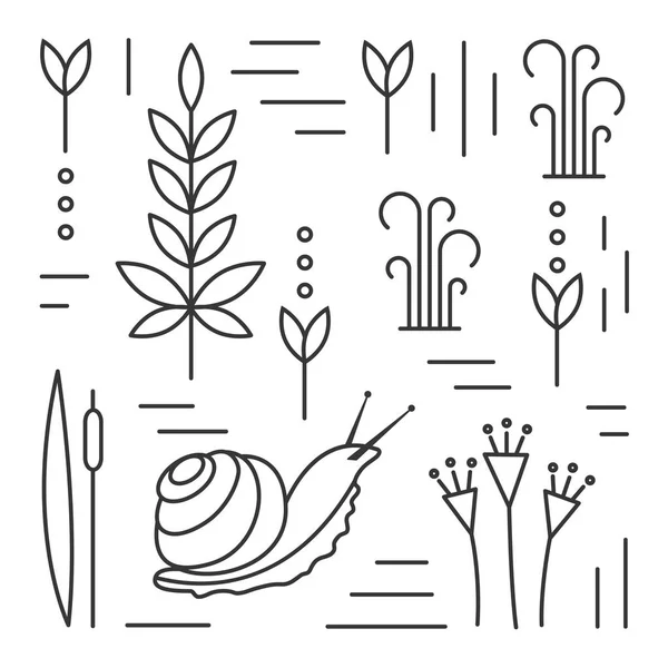 Slak Met Bloemen Planten Riet Lineaire Pictogrammen — Stockvector