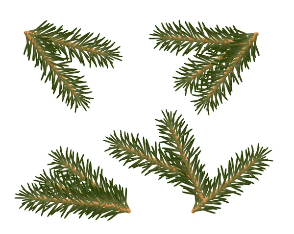Un ensemble de branches d'arbre de Noël — Image vectorielle
