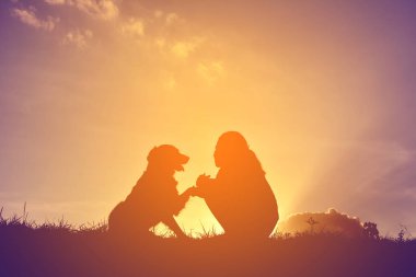 Siluet kadın köpekle oynamayı  