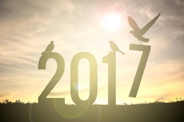 Günbatımı üzerinde uçan kuş siluet. Kavram yeni yıl