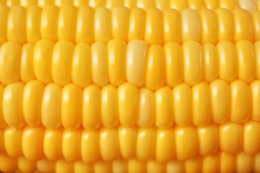 sarı Mısır arka kapatmak