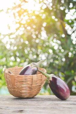 Grup eski ahşap üzerine patlıcan