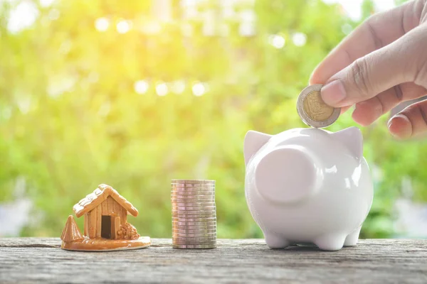 White piggy bank with coin and home on old wood tree bokeh background — Stock Photo, Image