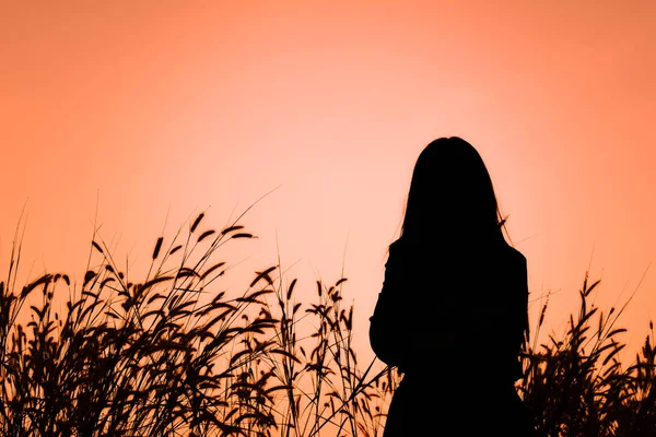 Silhouette of sad women in grass field at the sky sunset — Stock Photo, Image