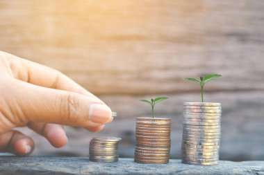 Eski ahşap ağaç bokeh background.concept kurtarmak para üstünde para tutan el