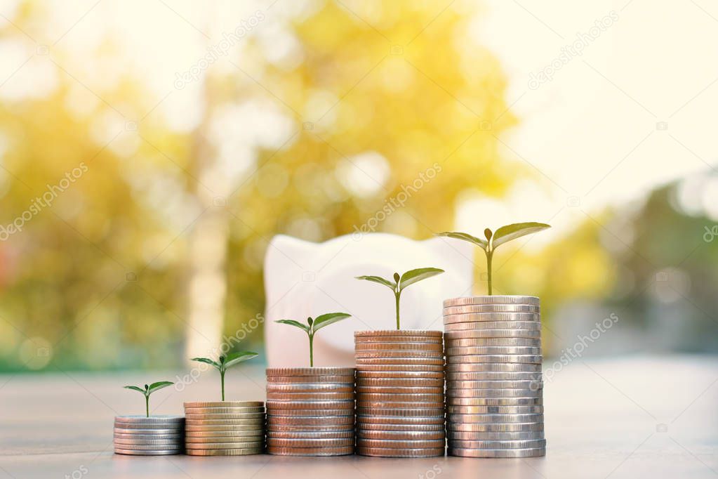 coin piggy bank and green plant in wood and tree bokeh background.color of vintage tone concept save money