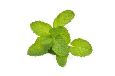 Taze yeşil nane yaprakları kapatmak
