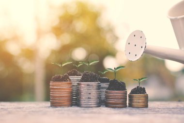 eski ahşap ve bokeh arka plan üzerinde yeşil bitki ile para