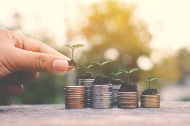 Madeni para ve yeşil bitki üzerinde eski ahşap tutan el 