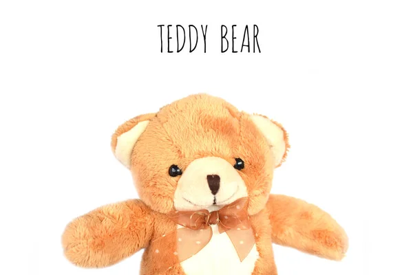 Teddybär aus nächster Nähe — Stockfoto