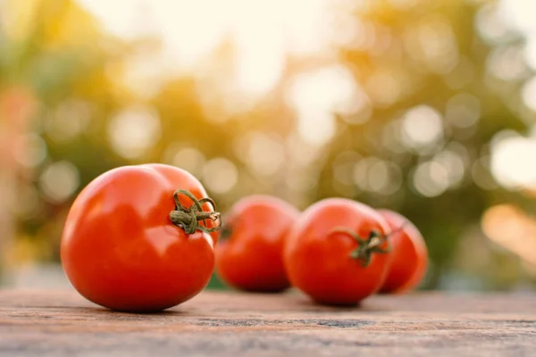 Tomate auf Holz aus — Stockfoto