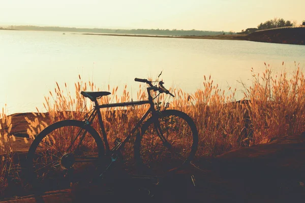 Sziluettjét, kerékpár, a fű — Stock Fotó
