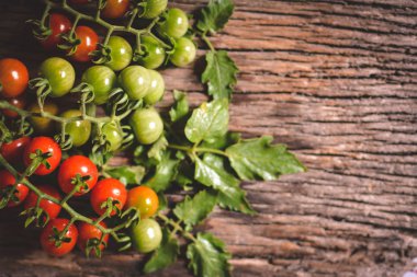 Hipster sesi en iyi görünüm grubunda eski ahşap zemin üzerine domates