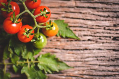 Hipster sesi en iyi görünüm grubunda eski ahşap zemin üzerine domates