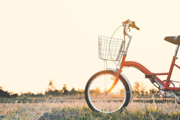 Vintage rowerów na pole trawa, selektywne i soft focus — Zdjęcie stockowe