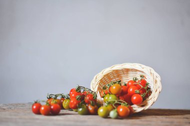 Eski ahşap domatese natürmort grup 