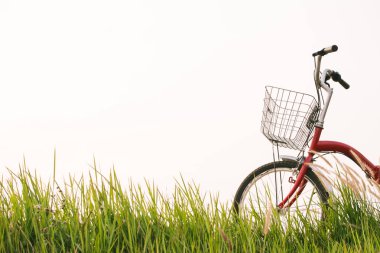 Vintage Bisiklet üzerinde çim sahası, seçici ve yumuşak odak