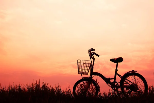 Silhouette des Fahrrads im Gras mit dem Sonnenuntergang am Himmel — Stockfoto