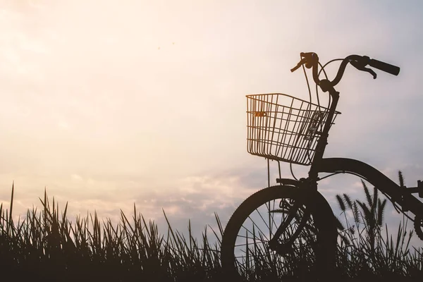 Silhueta de bicicleta na grama com o pôr do sol céu — Fotografia de Stock