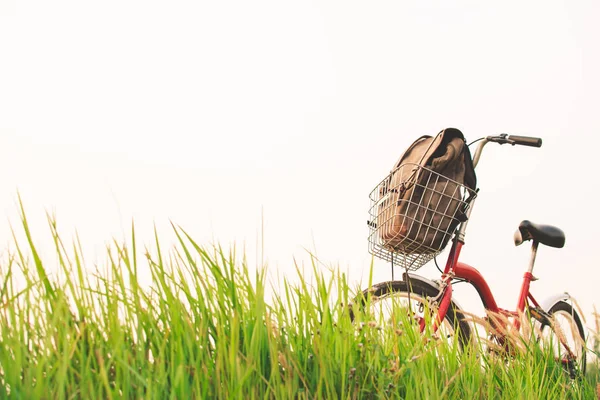 年份的自行车带袋上草田 — 图库照片