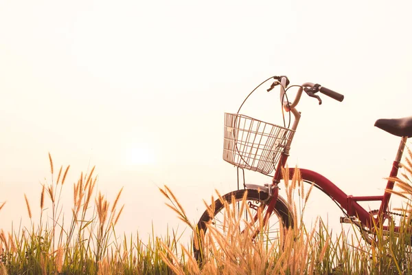 Vintage de bicicleta no campo de grama, foco seletivo e macio — Fotografia de Stock