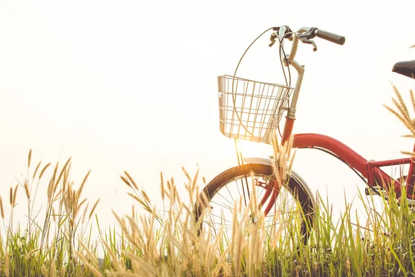 Vintage de bicicleta no campo de grama, foco seletivo e macio — Fotografia de Stock