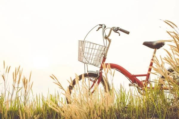 잔디 필드, 선택 및 소프트 포커스에 자전거의 빈티지 — 스톡 사진