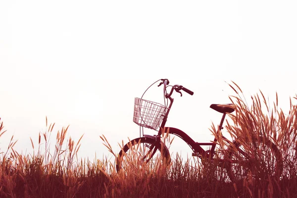 Vintage di bicicletta sul campo in erba, selettiva e soft focus — Foto Stock