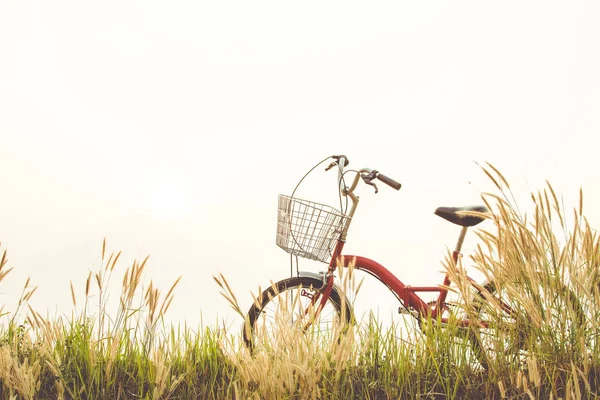 Vintage de bicicleta no campo de grama, foco seletivo e macio — Fotografia de Stock