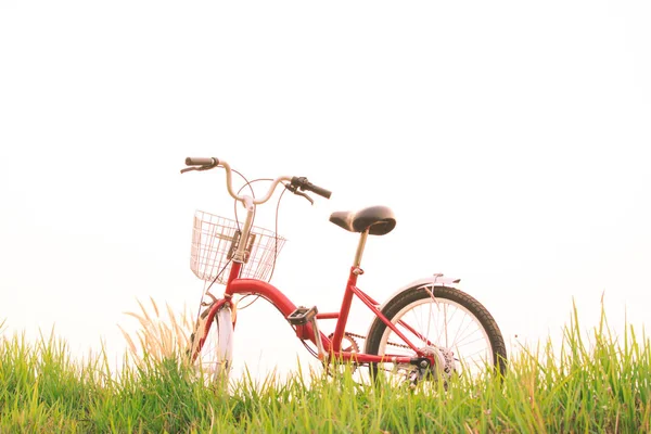 Vintage cykel på gräsplan, selektiv och mjukt fokus — Stockfoto