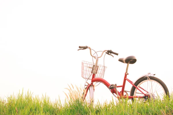 Vintage of bicycle on grass field, selective and soft focus — Stock Photo, Image