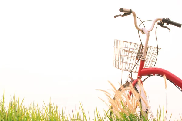 Vintage rowerów na pole trawa, selektywne i soft focus — Zdjęcie stockowe