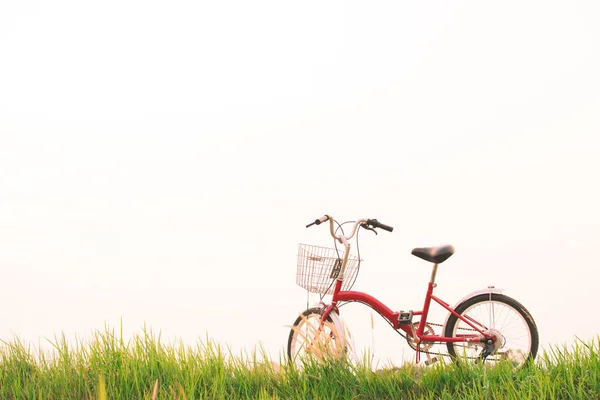 Винтаж велосипеда на травяном поле, селективная и мягкая фокусировка — стоковое фото