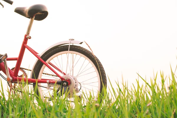 Vintage rowerów na pole trawa, selektywne i soft focus — Zdjęcie stockowe