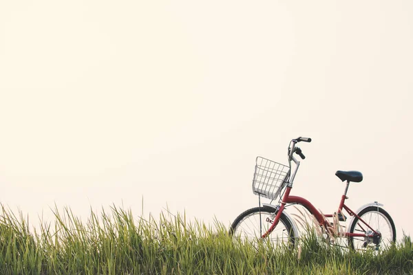 Jahrgang des Fahrrads auf dem Rasenplatz, selektiver und weicher Fokus — Stockfoto