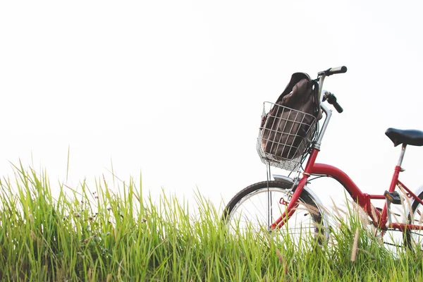 Vintage rower z torba na pole trawa, selektywne i miękkie f — Zdjęcie stockowe