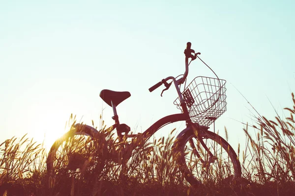 Silhueta de bicicleta na grama com o pôr do sol céu — Fotografia de Stock