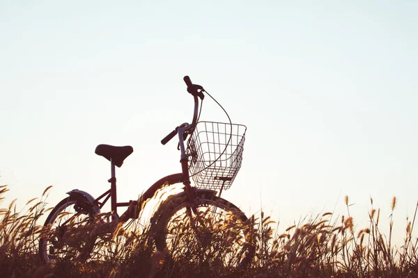 Sylwetka roweru na trawie z Niebo Zachód słońca — Zdjęcie stockowe