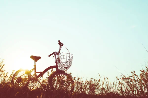 Silhouette des Fahrrads im Gras mit dem Sonnenuntergang am Himmel — Stockfoto