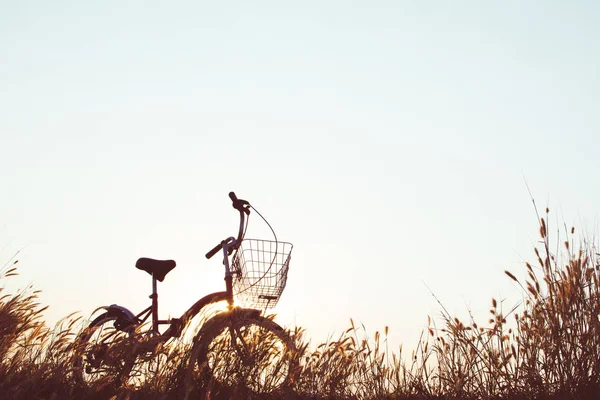 Silueta de bicicleta sobre hierba con la puesta de sol del cielo — Foto de Stock