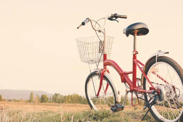 잔디 필드, 개념 여행, hipster 톤에 hipster 자전거 — 스톡 사진