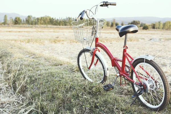 Hipster rowerów na pole trawa, koncepcja podróż, hipster ton — Zdjęcie stockowe