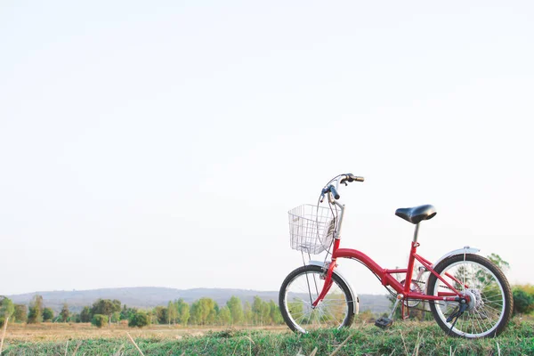 Hipster-Fahrrad auf der Wiese, Konzeptreise, Hipster-Ton — Stockfoto