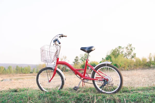 Hipster rowerów na pole trawa, koncepcja podróż, hipster ton — Zdjęcie stockowe