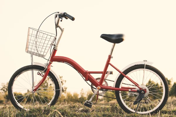 草田、 概念的旅程、 时髦色调时髦自行车 — 图库照片